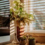 resized_39_api