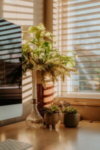resized_39_api